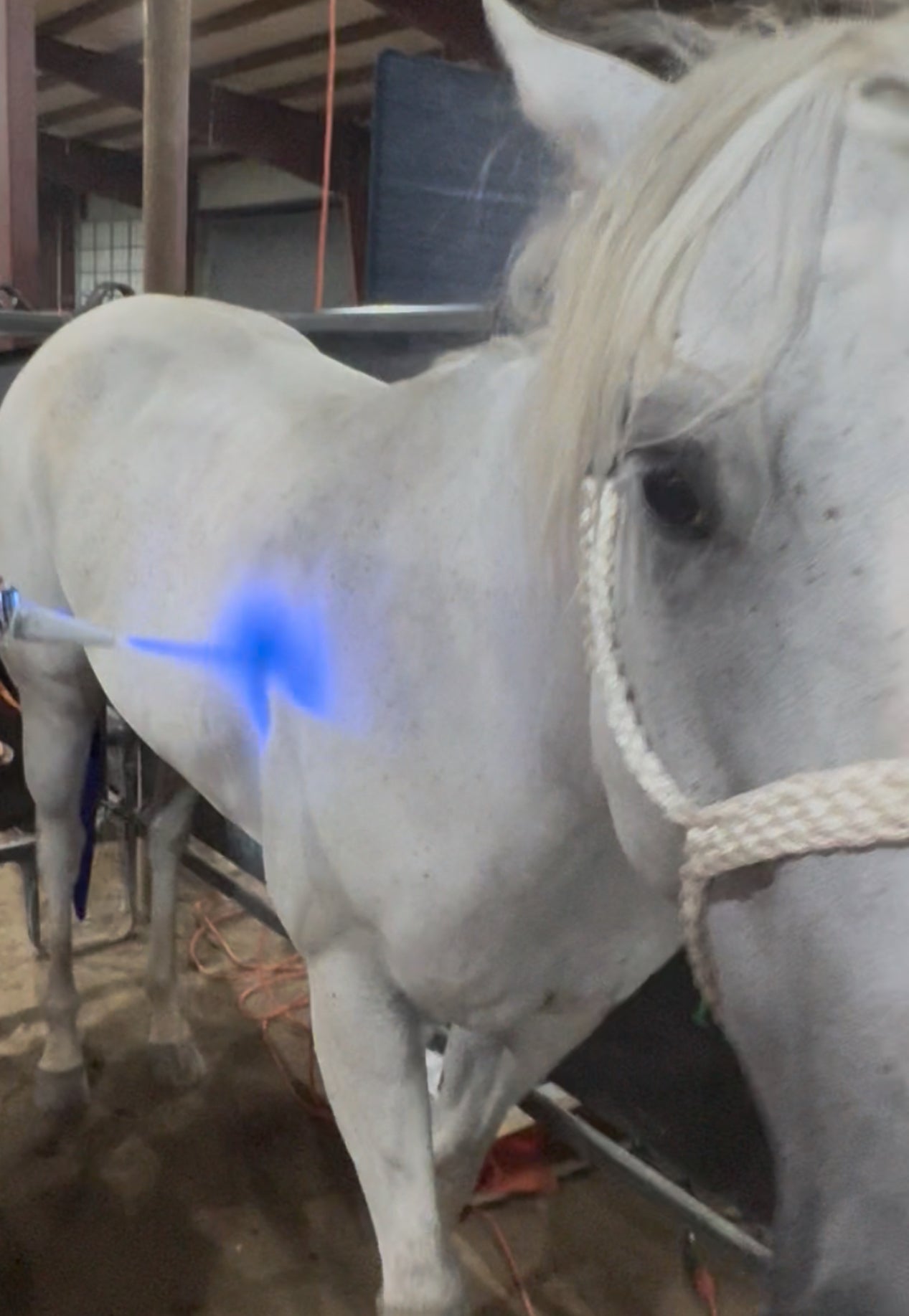 Localized Cryotherapy