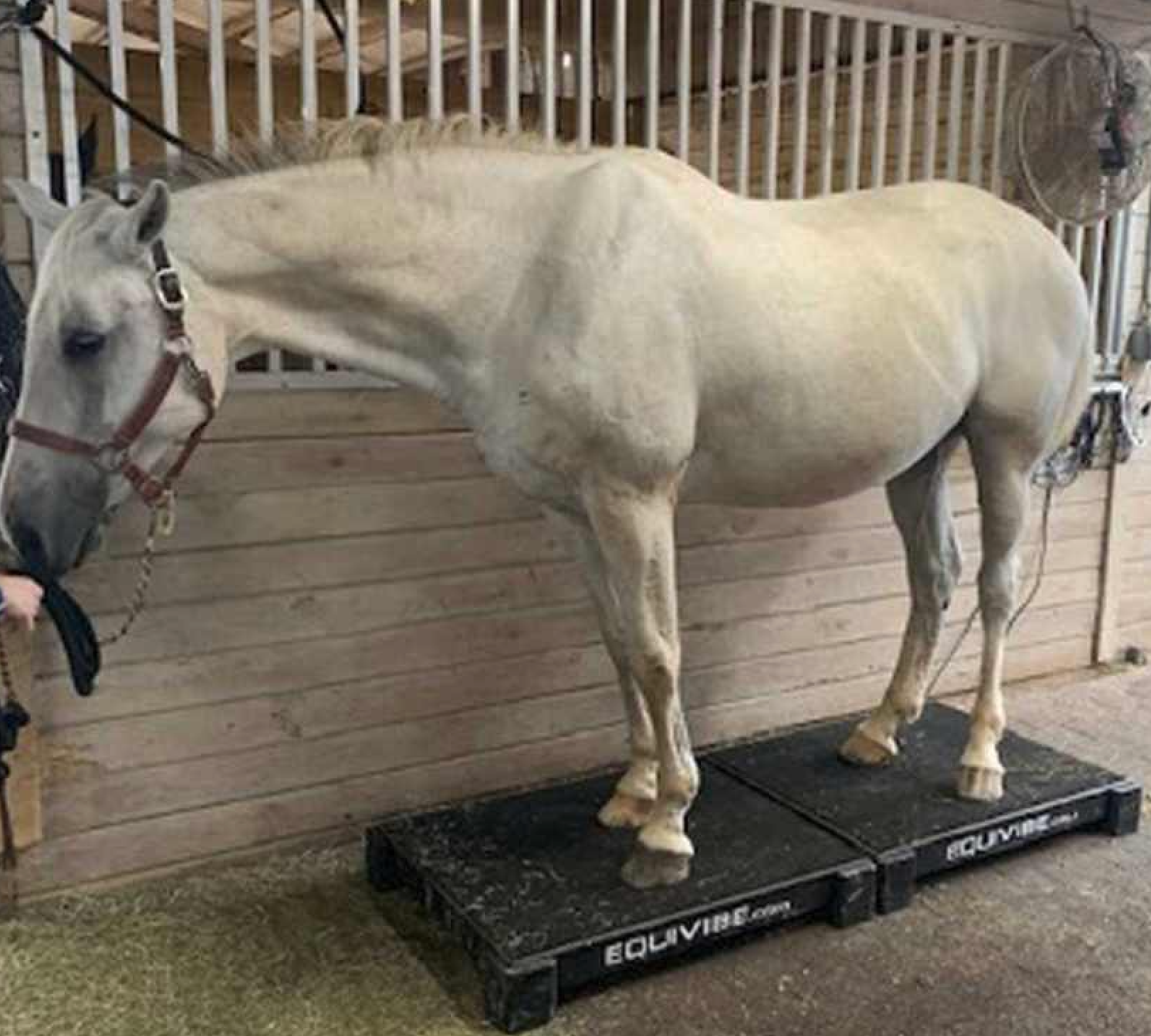 Vibration & Conditioning Plates