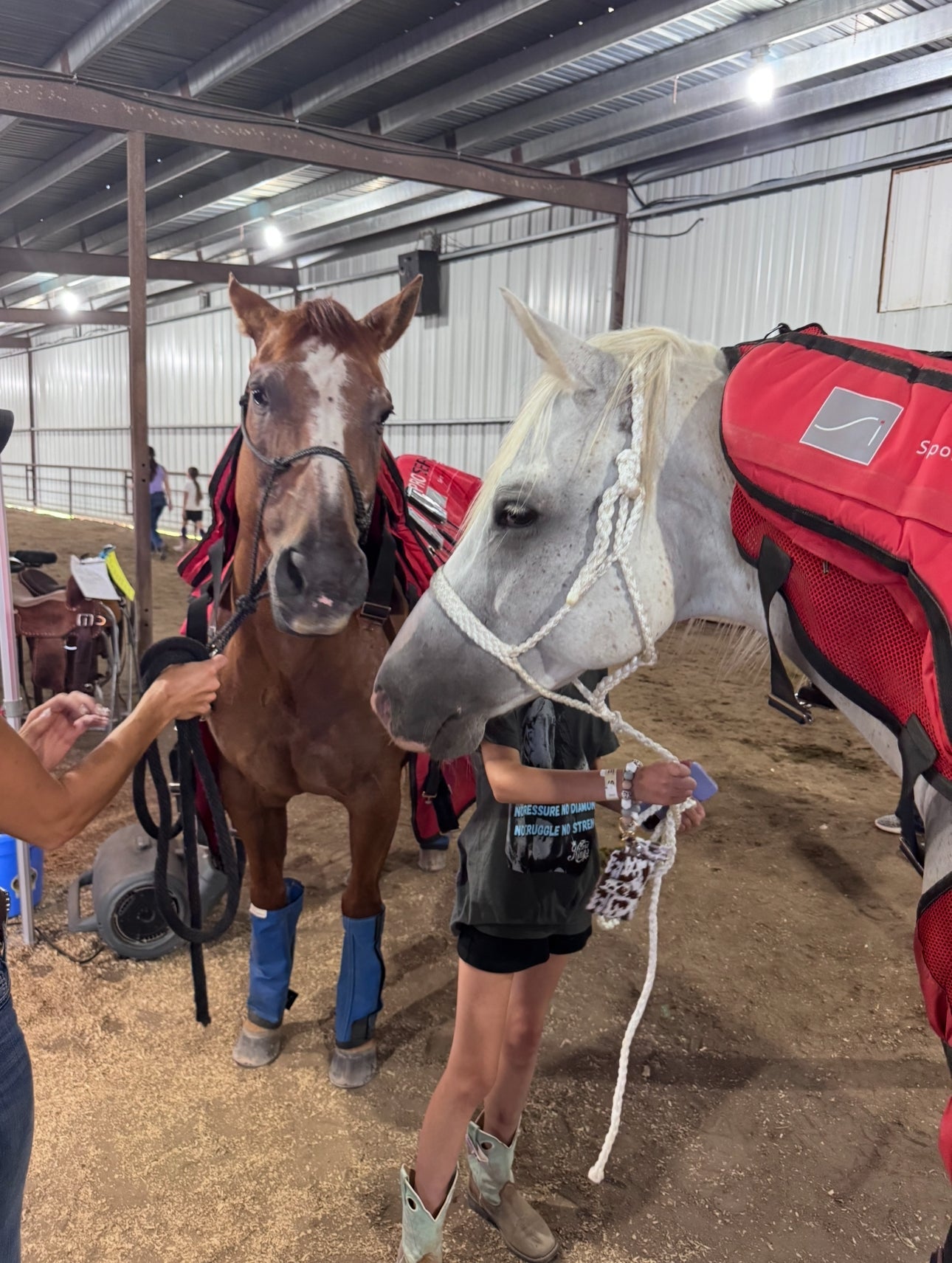 PEMF Therapy Systems